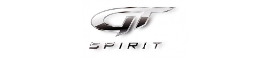 GT SPIRIT