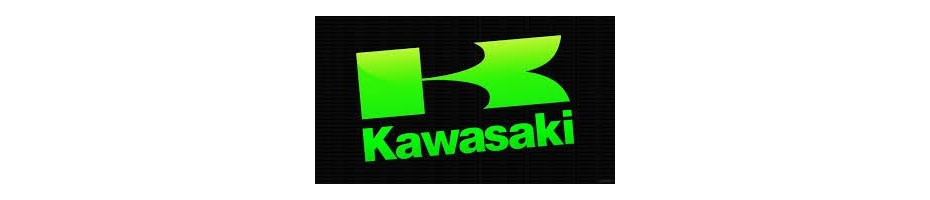 KAWASAKI